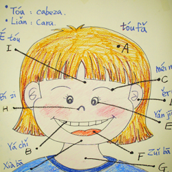 Partes de la cara en chino